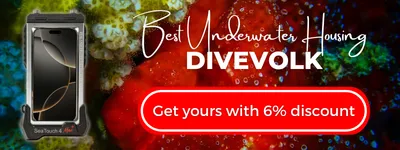 Divevolk Banner General