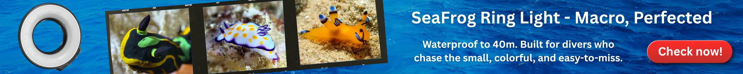 SeaFrog Ring Light