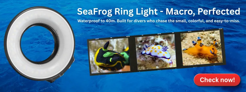 SeaFrog Ring Light