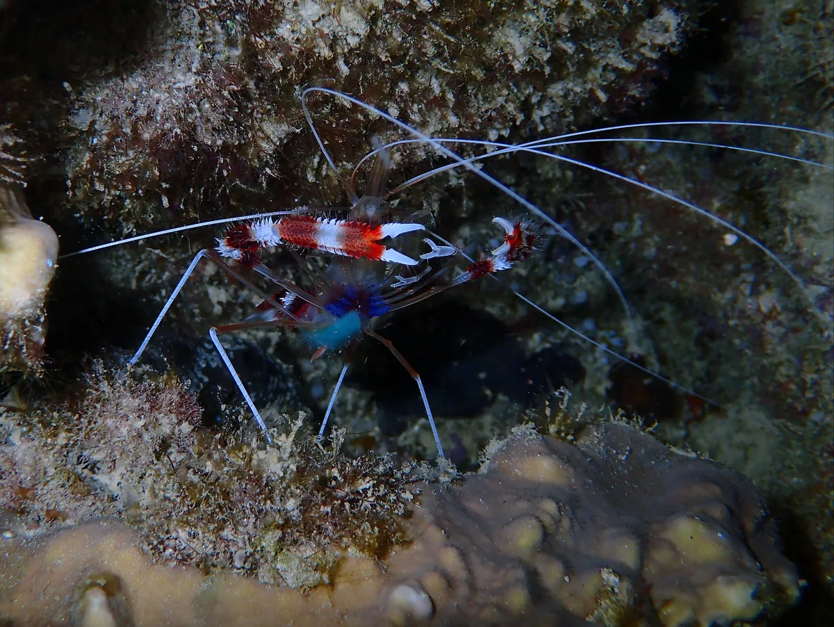 P7064906