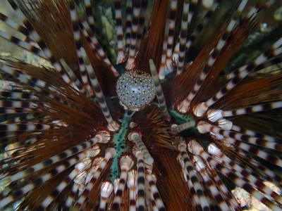 P7124500