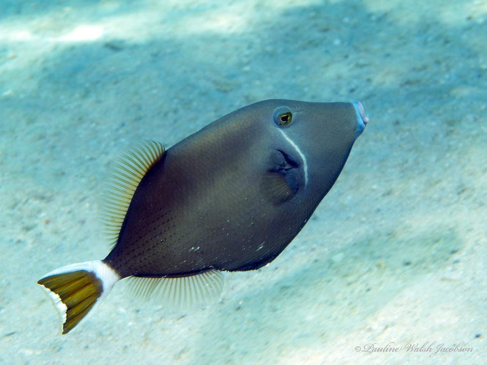 eilat 07_8093779