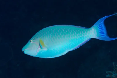 120913_08-28-45_Canon7D.jpg