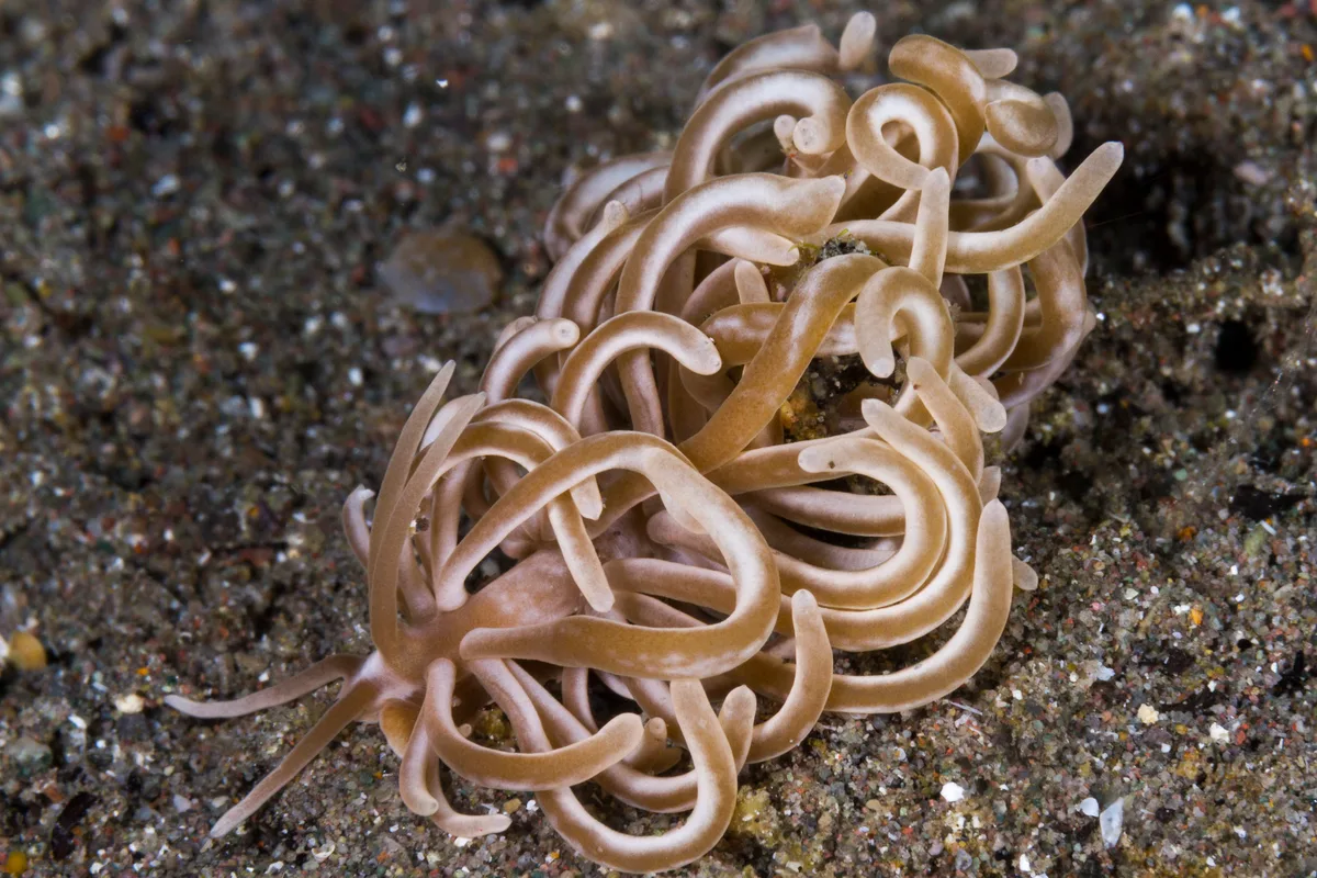 20121007-dive02_01