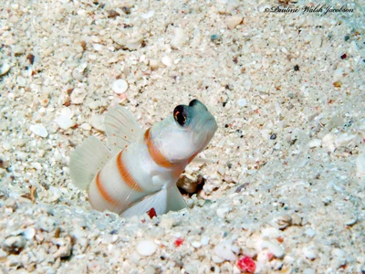 eilat 07_8083285