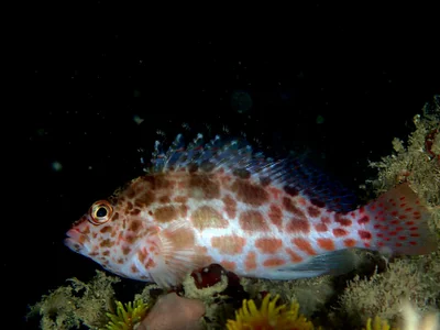 P7102750