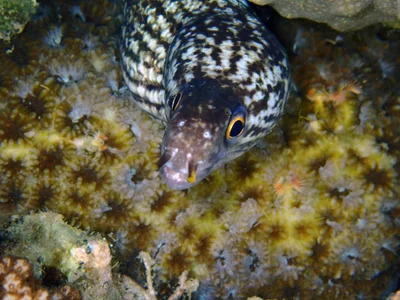 P7124822