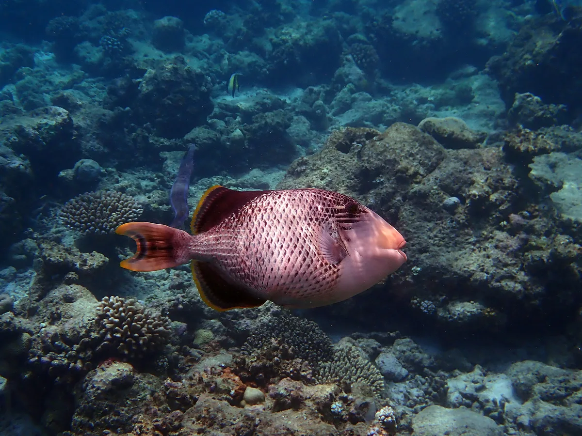 P4240604