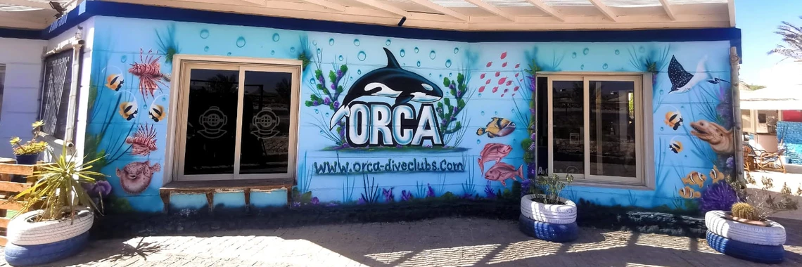 Orca Dive Club Coral Garden