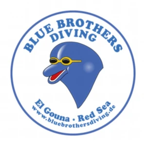 Blue Brothers Diving logo