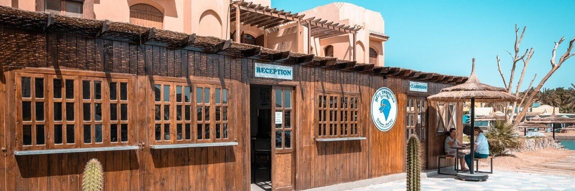 Blue Brothers Diving