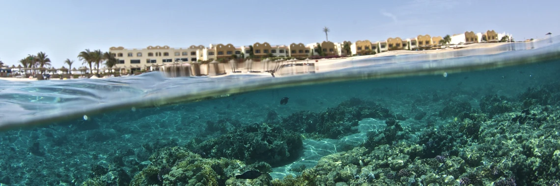 Orca Dive Club Moreen Beach