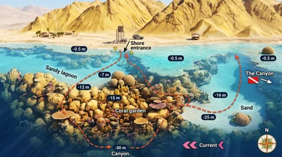 Abu Helal dive site map
