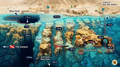 El Bells dive site map
