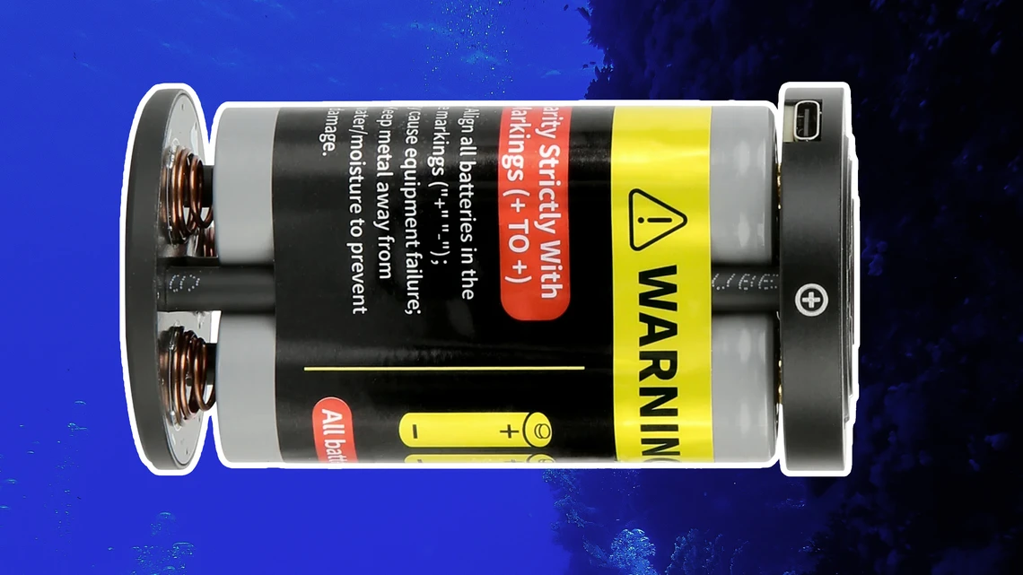 LetonPower Sealion replacement battery set