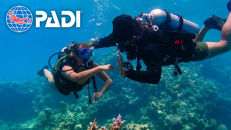 PADI Certification Levels Explained: A Guide for Aspiring Scuba Divers