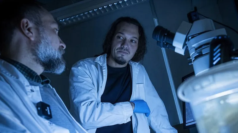 New Discoveries Push the Origin of Animals Back by 100 Million Years