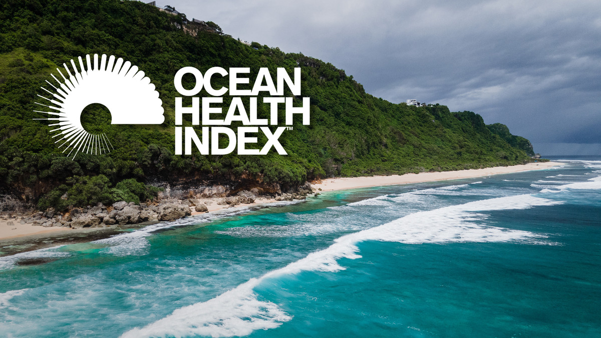 Discover the Latest Insights on Ocean Health: Fascinating Updates You Need to See