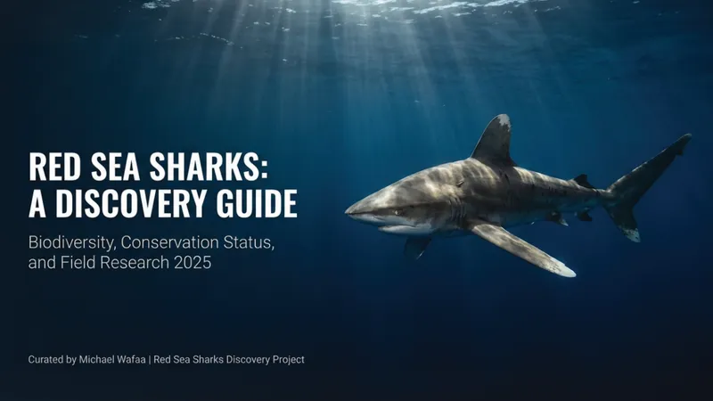 2025 Red Sea Shark Discovery: The Ultimate Field Guide to Egypt’s Apex Predators