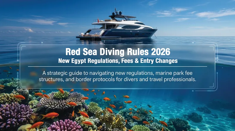 Red Sea Diving Rules 2026: New Egypt Regulations, Fees & Entry Changes