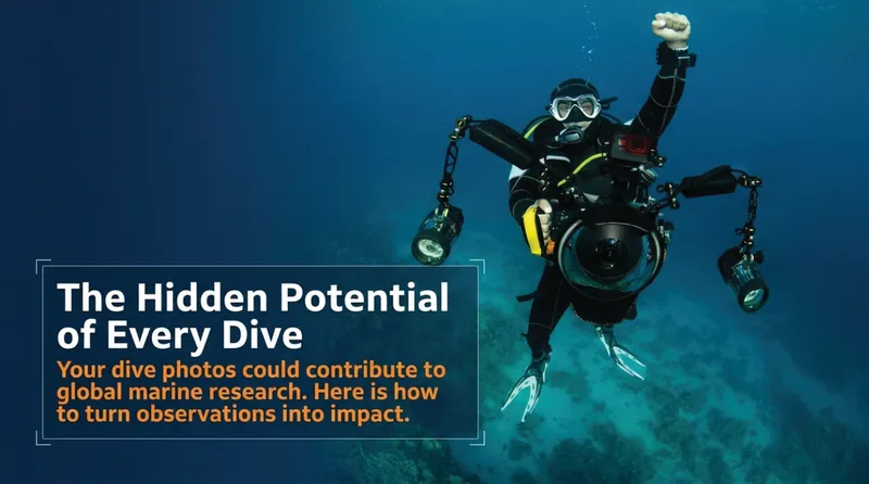 Turning Your Next Dive Into Data: How Recreational Divers Are Saving the Oceans