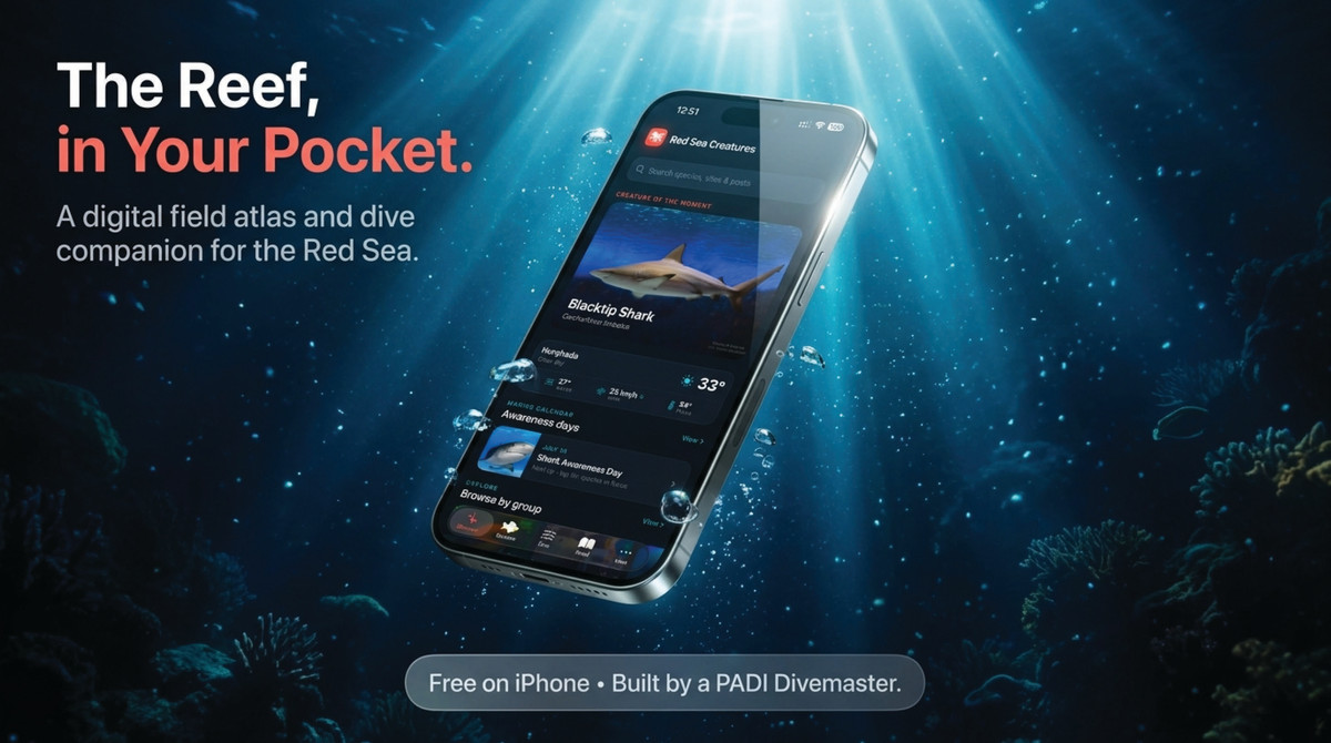 Meet Red Sea Creatures - The Reef, in Your Pocket episode artwork