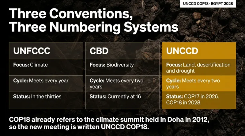 Comparison of the three Rio conventions: UNFCCC covers climate and meets every year, CBD covers biodiversity and is at 16, UNCCD covers land and drought with COP17 in 2026 and COP18 in 2028